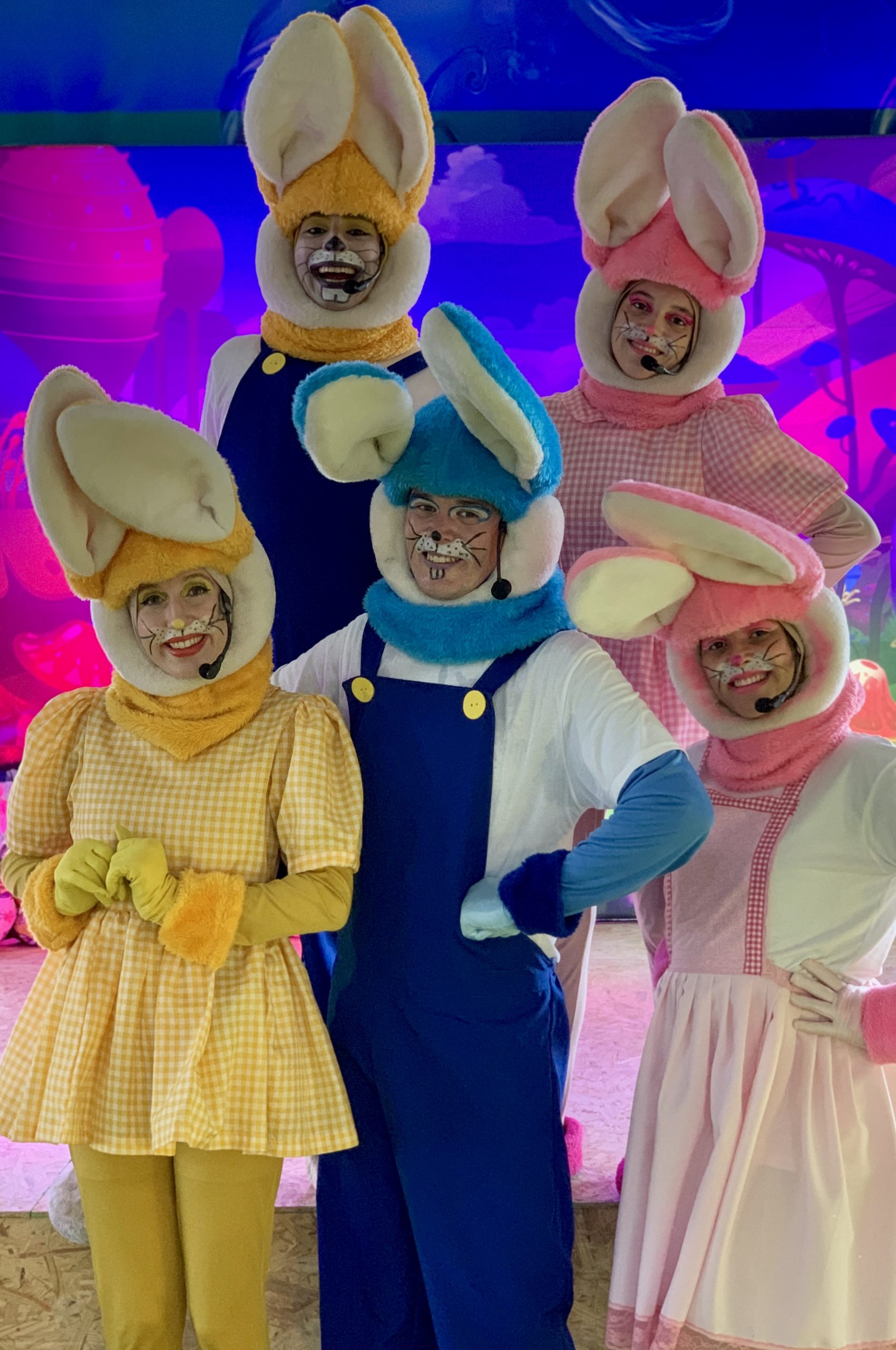 O Show dos Coelhos — foto 3