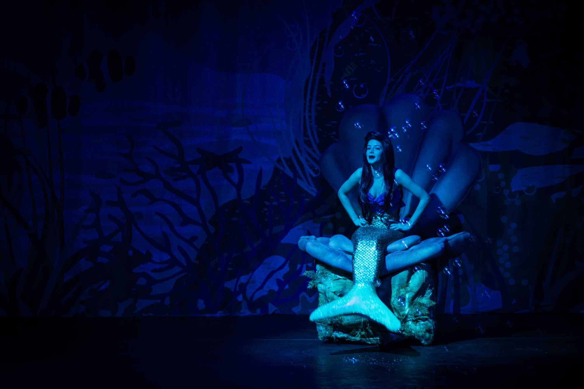 A Pequena Sereia — foto 4