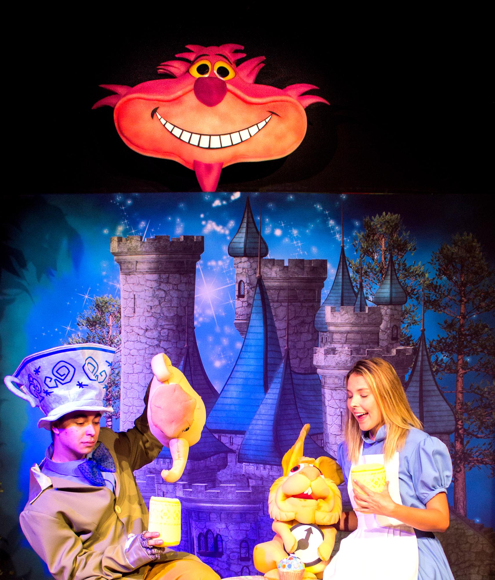 Alice no País das Maravilhas — foto 6