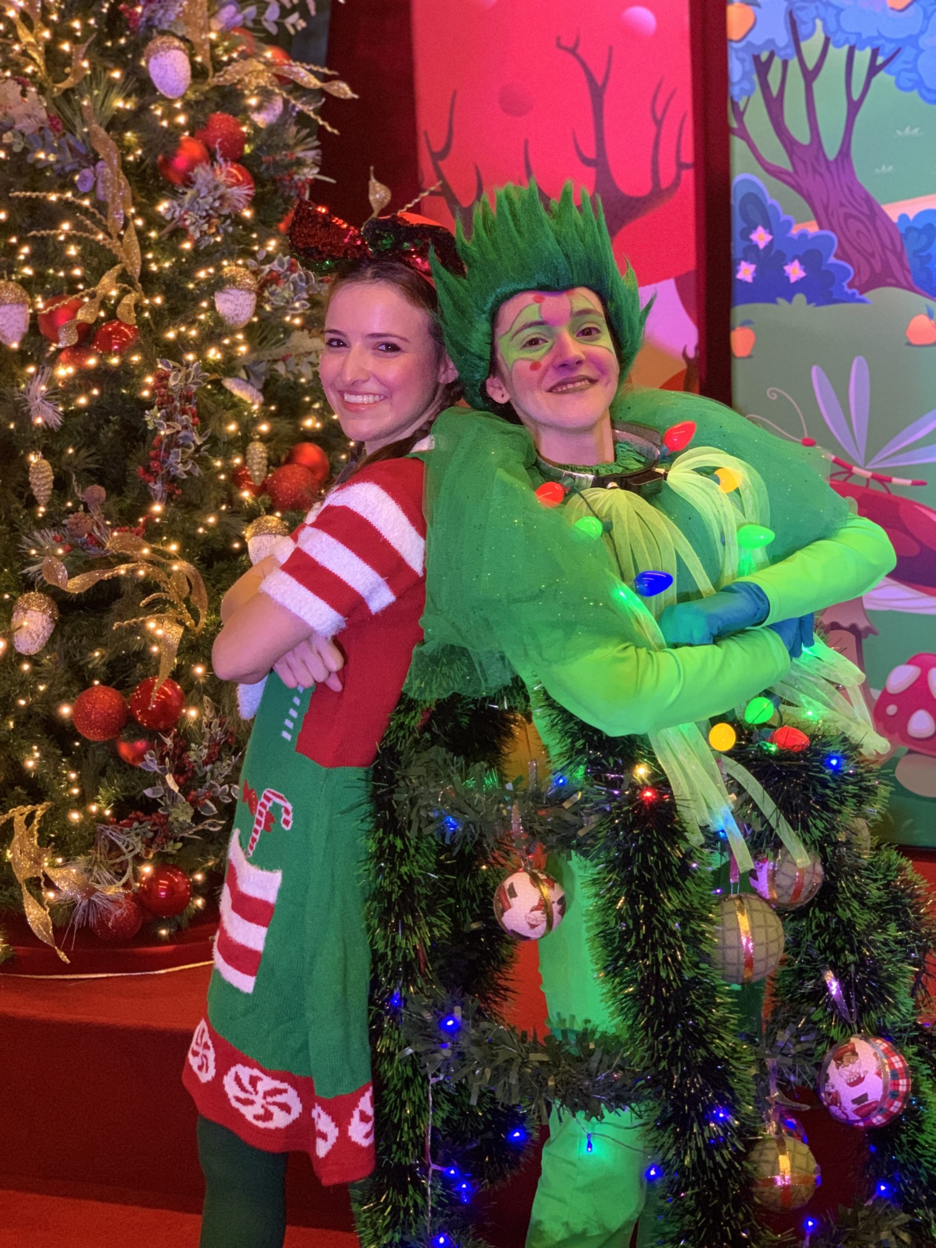 O Pinheirinho que não era de Natal — foto 3